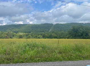 0 County Road 42 #109, Oneonta, AL 35121