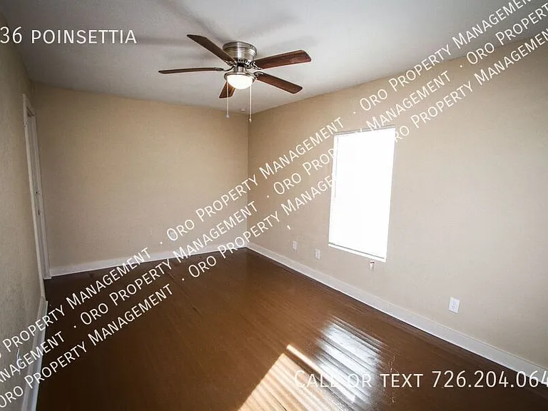 936 Poinsettia — Photo 18