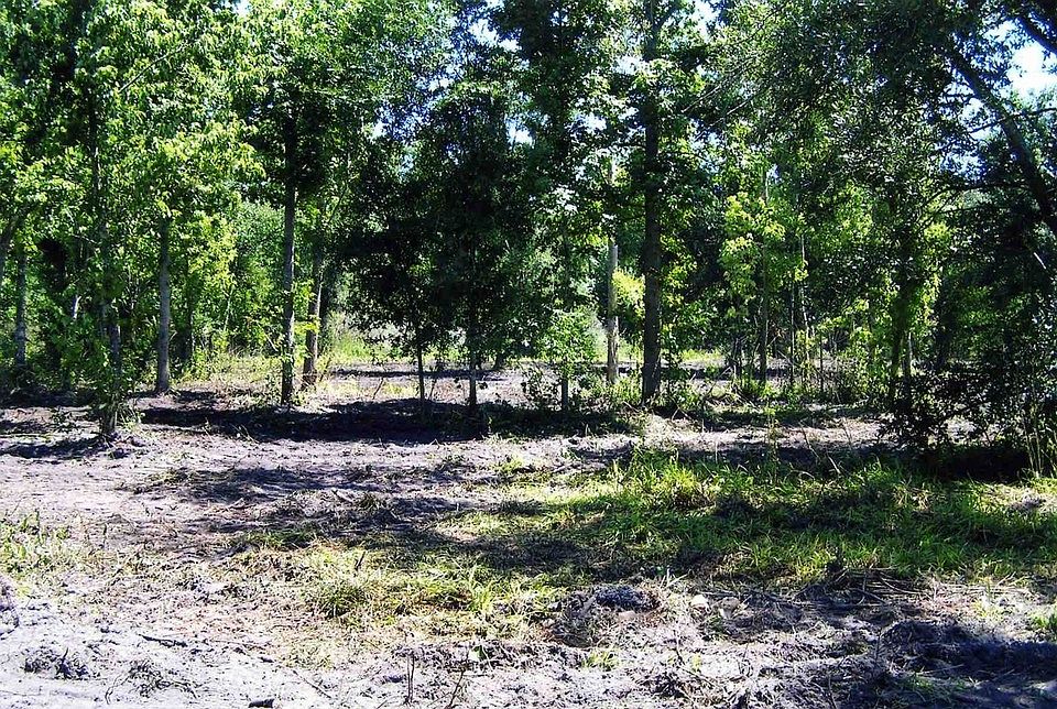 2nd image of 2828 Merle Langford Rd