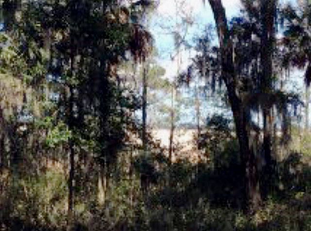 2nd image of 358 Choctaw Sq