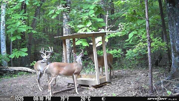 1st image of Carlisle Gap Rd