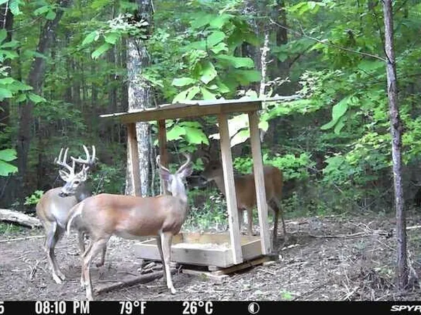 Carlisle Gap Rd, Woodland, GA 31836