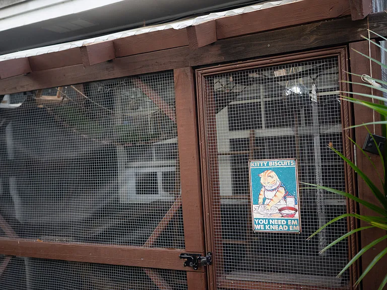 Huntington Rd — Photo 7