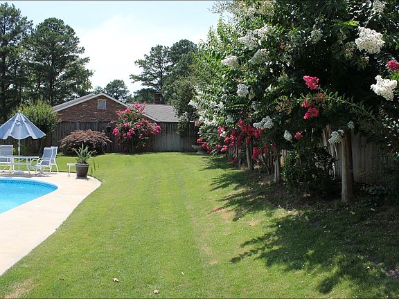 Mature landscape, Zoysia