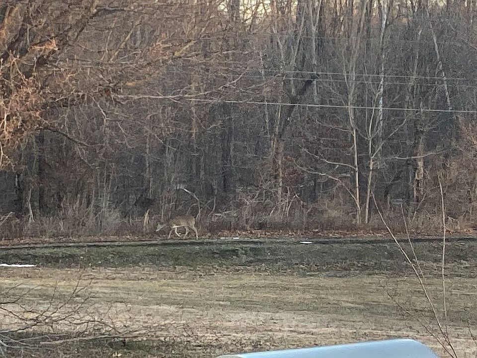 1st image of Meadowbrook Ln