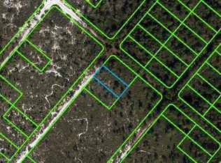 619 Strathmoor St, Lake Placid, FL 33852