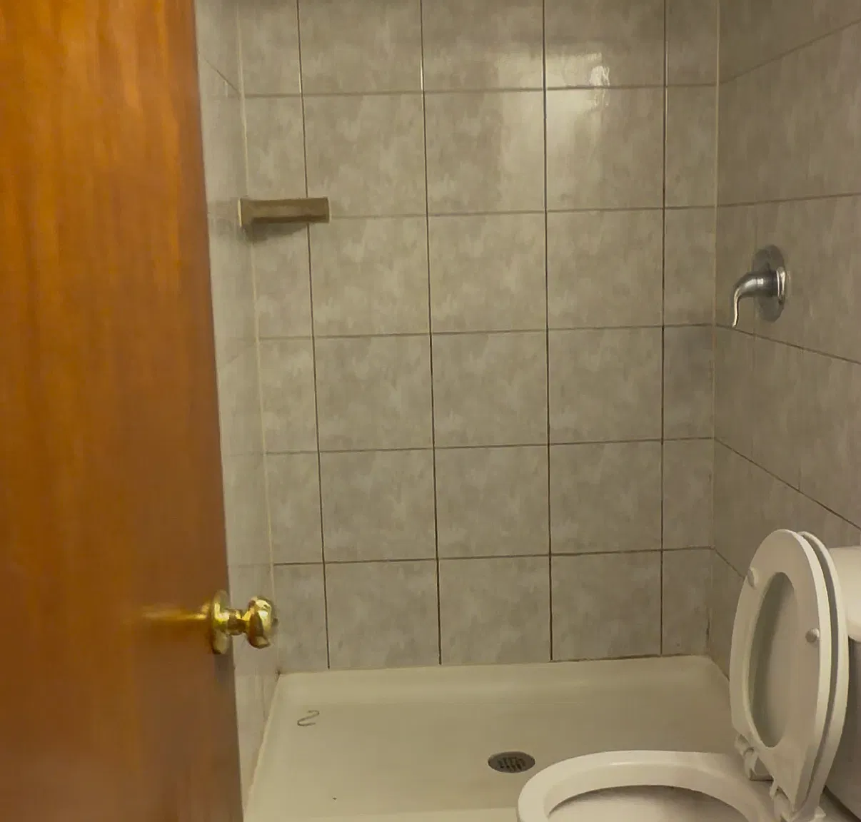 1 bed, 650 sqft, $1,250 — Photo 3