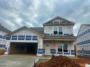 237 Chimney View Loop, Blountville, TN 37617