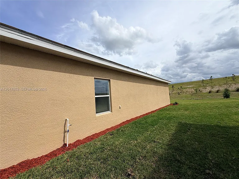 3917 Passion Vine Dr — Photo 32