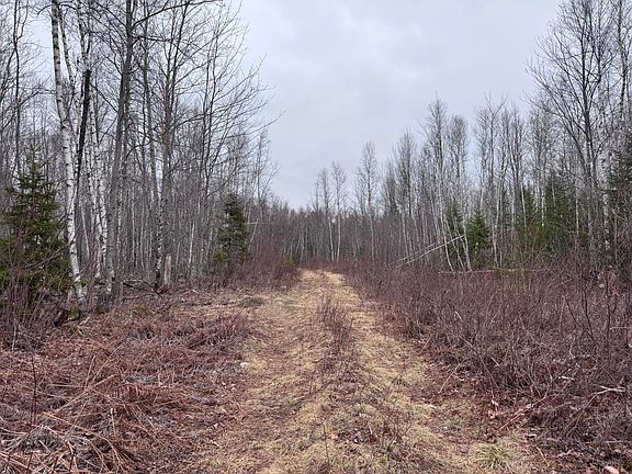 5th image of 36 Otter Trail