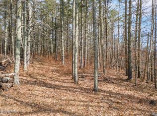242 Tae Kwon Road, Blenheim, NY 12131