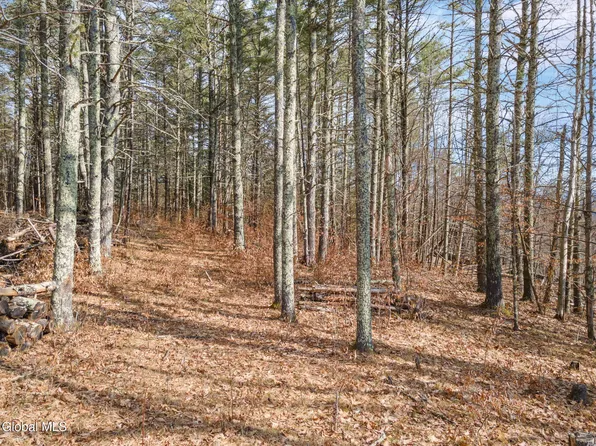 242 Tae Kwon Road, Blenheim, NY 12131