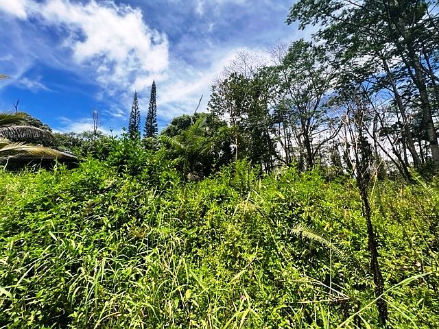 2nd image of King Kamehameha Blvd Lot 28