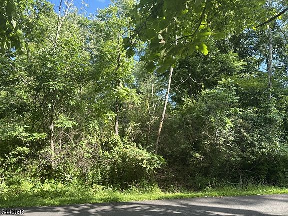 4th image of 316 Old Farm Rd