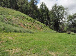 11 Penley Ridge Dr, Swannanoa, NC 28778