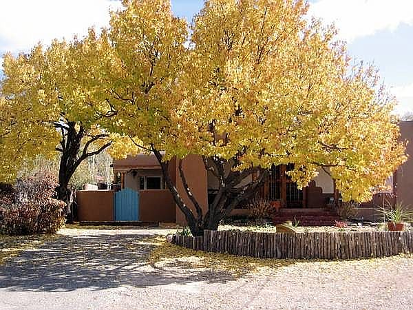 1st image of 433 Camino Don Miguel