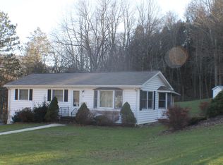 61 Fifield Ave, Hancock, NY 13783