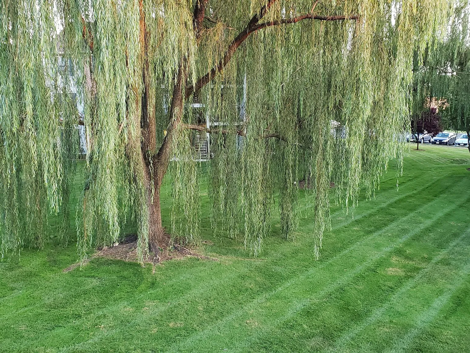 2 bed, 1181 sqft, $2,300 — Photo 3