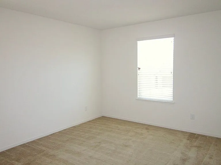 2554 Pine Brook Dr — Photo 6