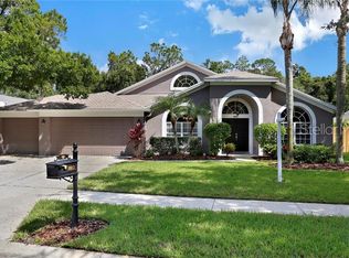 10613 Chambers Dr, Tampa, FL 33626