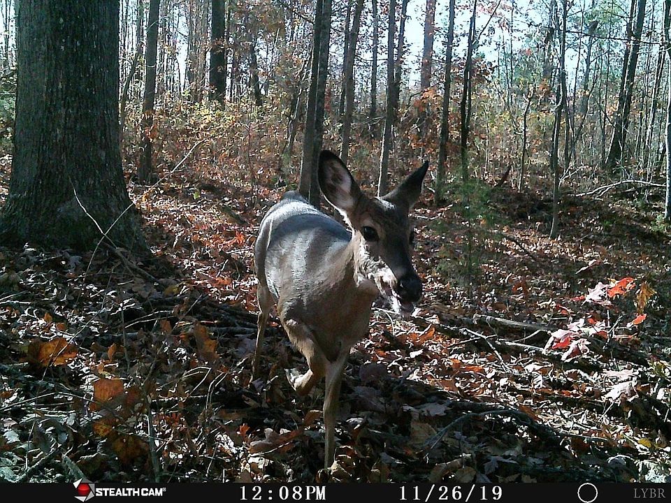 1st image of 0 Table Rock Ln #14