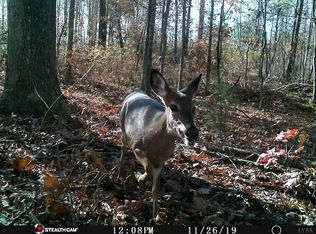 0 Table Rock Ln #14, Nathalie, VA 24577