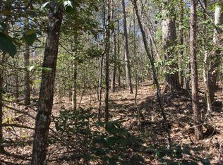 Trout Cove Rd, Brasstown, NC 28902