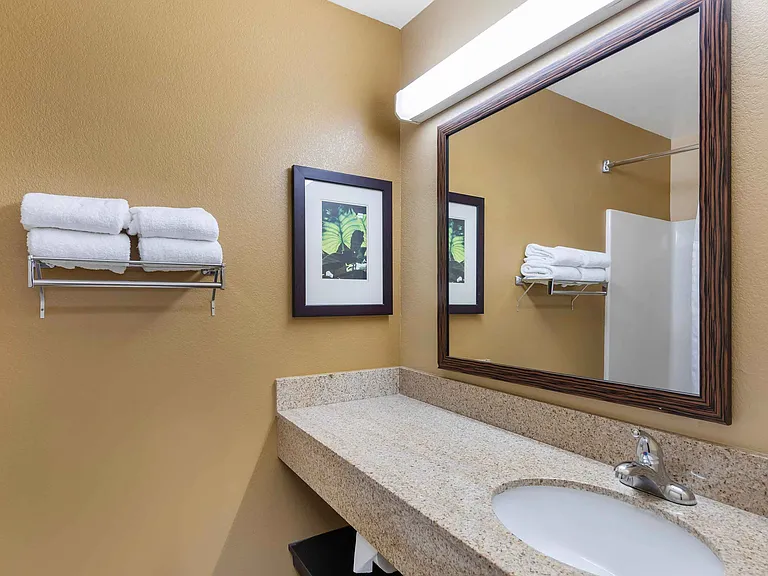 Studio Suite - 2 Full Beds
