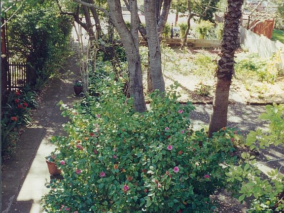 View of Garden