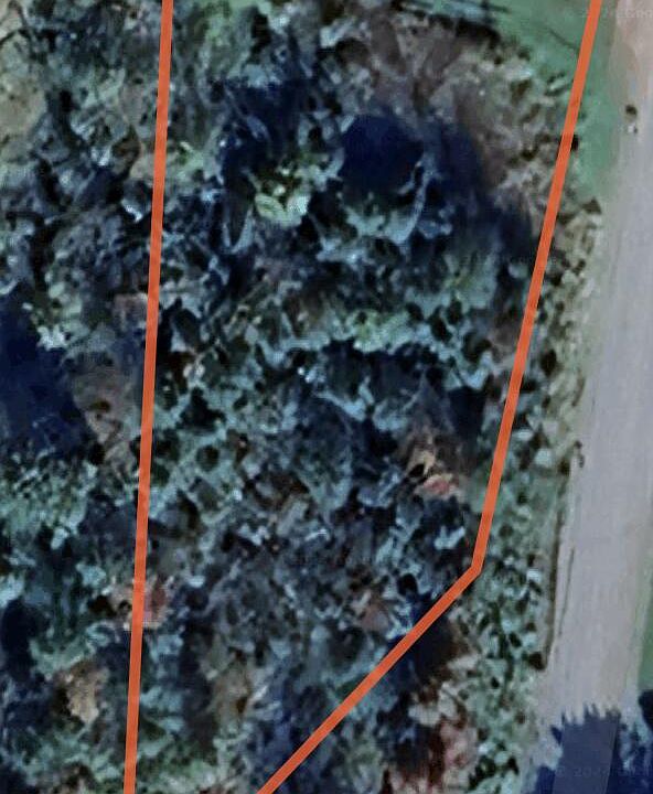 2nd image of 197 Moss Rd