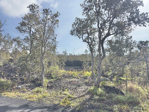 3rd image of Lot 13