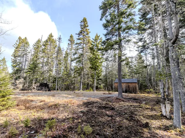 57 Yoho Head Road, Machiasport, ME 04655