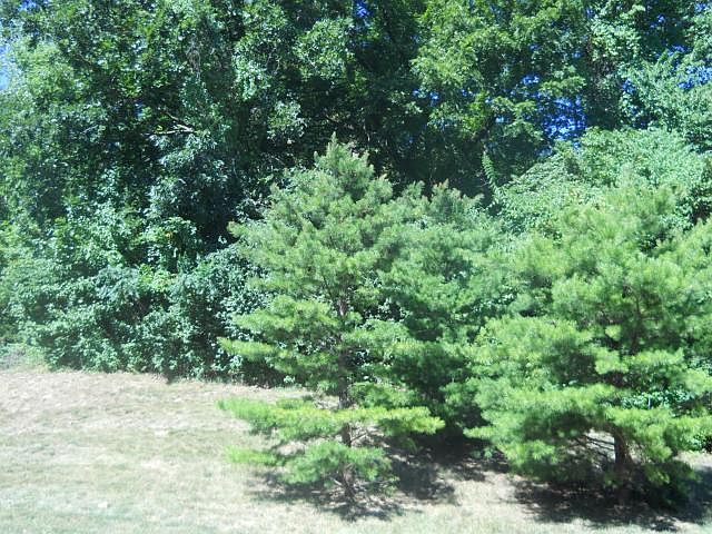2nd image of Wildbriar Ct