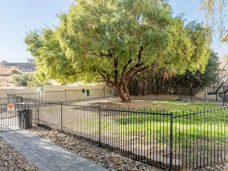 Mature landscaping at Sunset Winds in Henderson, NV 89014