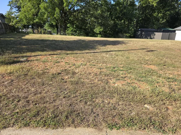 Lot 4 Echo Valley Circle, Reeds Spring, MO 65737