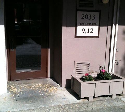 3rd image of 2033 Sierra Rd APT 9