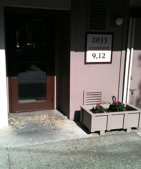 2033 Sierra Rd #9 — Photo 3