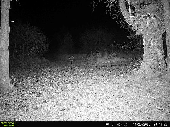 4th image of 30th Rd