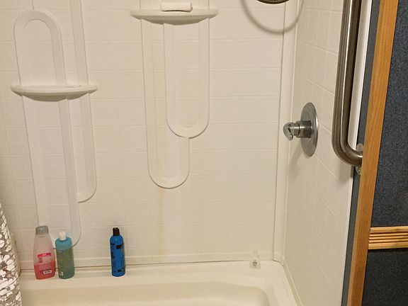 step in shower safety bars