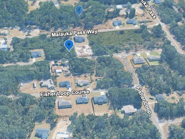 0 Malauka Trce, Ocklawaha, FL 32179