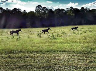14173 Ga Highway 188, Coolidge, GA 31738