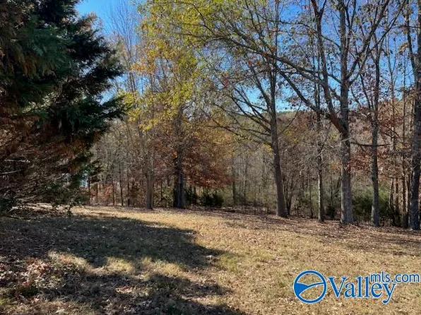 11 First Creek Rd, Rogersville, AL 35652