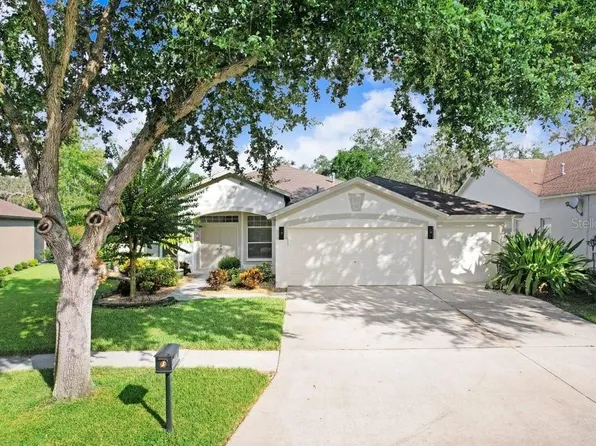 14826 Heronglen Dr, Lithia, FL 33547