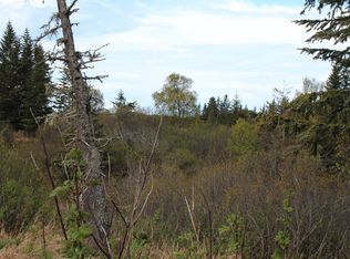 17232 Hyila Ln, Ninilchik, AK 99639