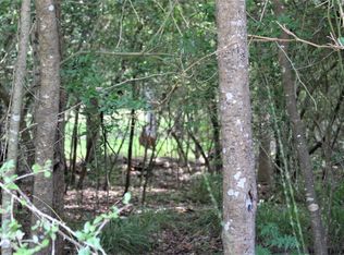 0 Running Deer Rd LOT 54 & 53, Grapeland, TX 75844