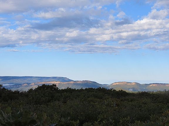 Looking south