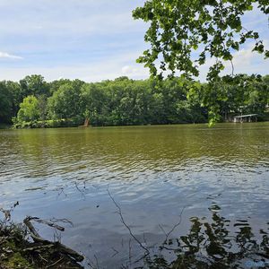 LOT 11 Beech Fork Ln, Athens, AL, 35611