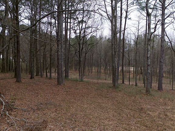 4th image of 1707 Warnke Rd NW