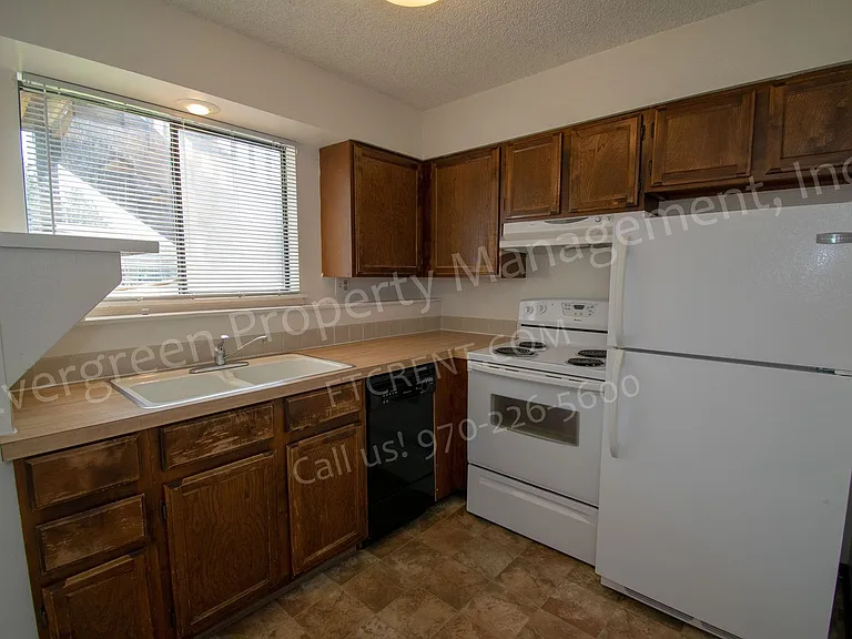 1636 E Pitkin St — Photo 9
