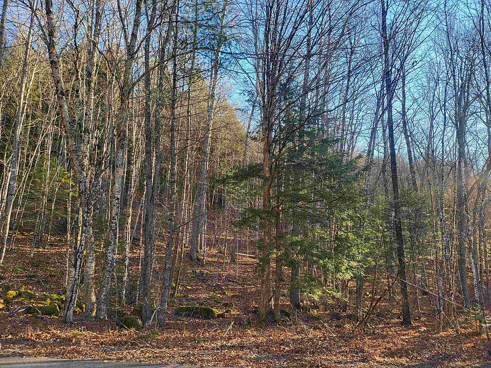 2nd image of Lot 1 NH Route 49